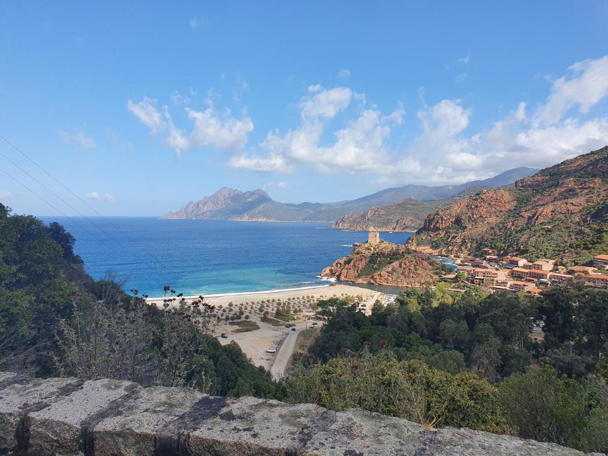 Villa Les Palmiers -Stretta Di I Mandarini 鲁西亚纳 外观 照片